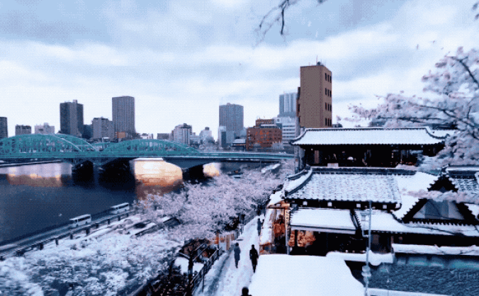 顛覆！OpenAI發(fā)布文生視頻模型Sora